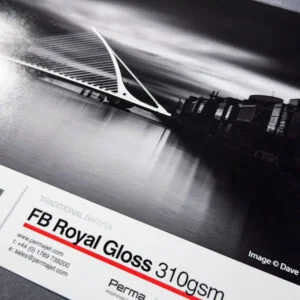 Close up of a printed sheet of FB Royal Gloss 310