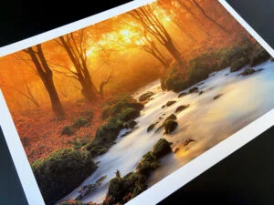 How to Make Amazing Autumn Photography Prints