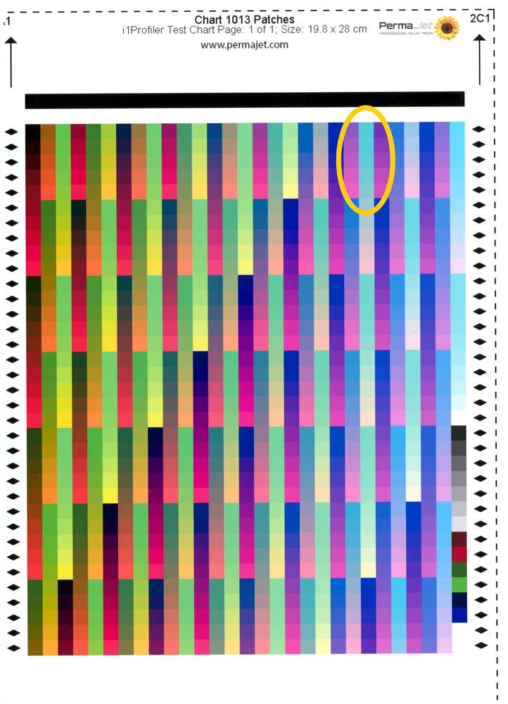 A profile chart printed using the AirPrint driver