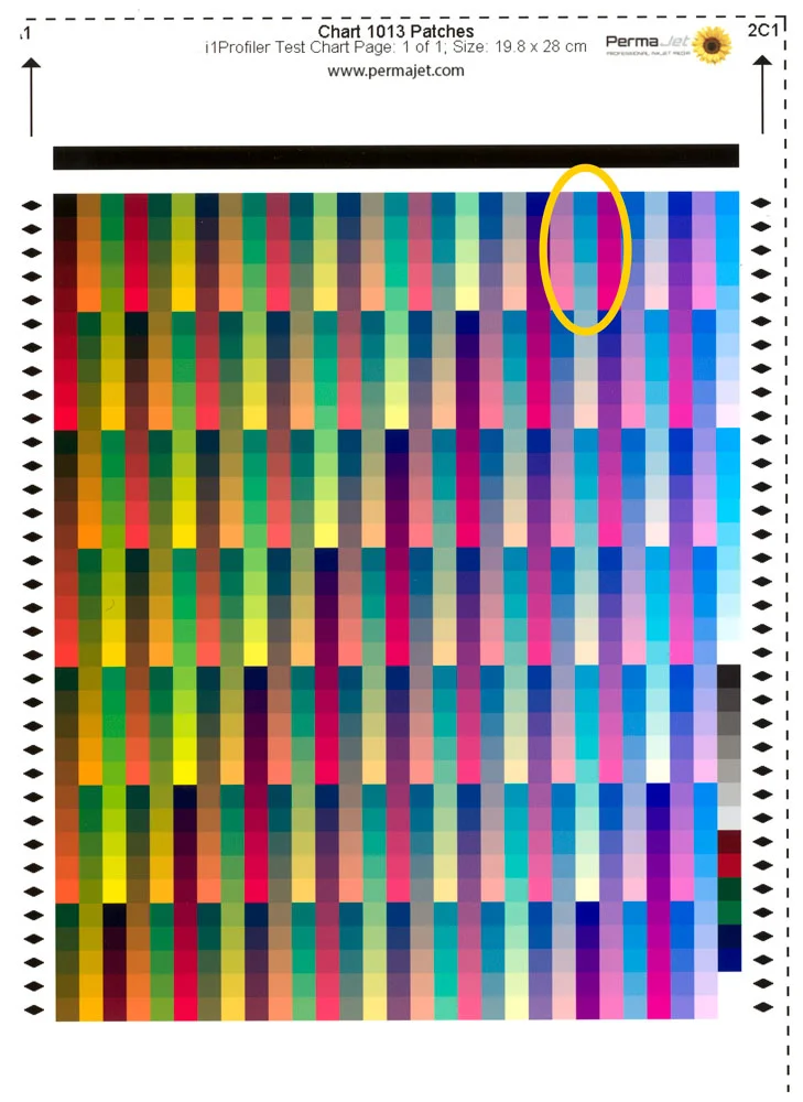 A profile chart printed using the Canon driver