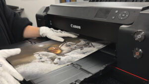 A print on a Canon printer, being picked up by someone wearing gloves