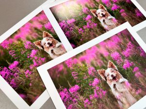 Gloss vs Satin vs Matte Paper: Which Finish Should You Choose?